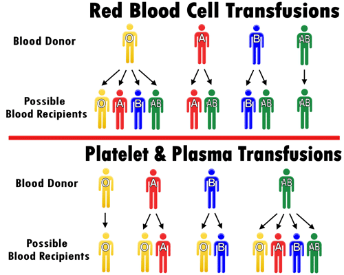 a negative blood type can receive