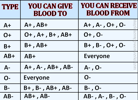 The difference between O positive and O negative blood types Stock